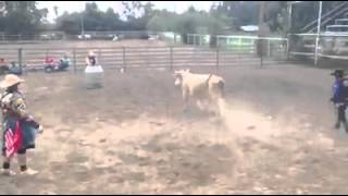 Me On Bodacious Rodeo Belly Roll