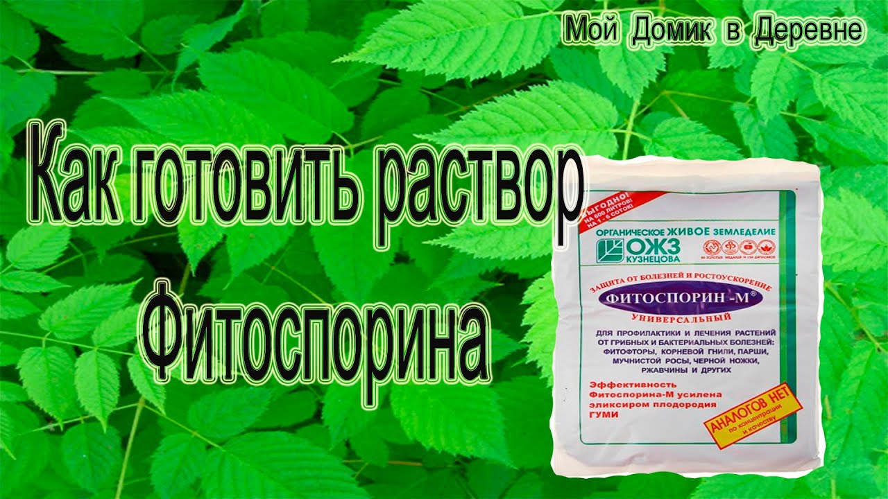 Раствор фитоспорина можно хранить. Фитоспорин Золотая осень. Раствор фитоспорина Броди. Производство фитоспорина схема.