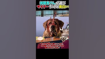 【映画紹介】クジョー #shorts #映画 #アスハナチャンネル