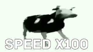 Dancing Polish Cow - SPEED X100