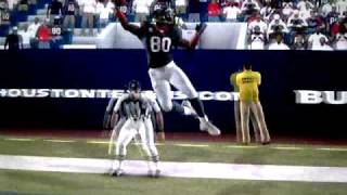 andre johnson crazy one handed catch