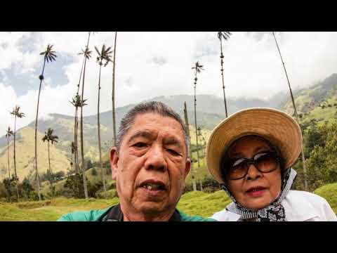 Hiking Cocora Valley,