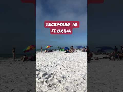 Nothing like a good winter beach day! #florida #travel #tampabay #beach #December #winter #stpete