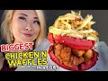 THE BIGGEST CHICKEN N WAFFLES IN Las Vegas!! at Therapy #RainaisCrazy