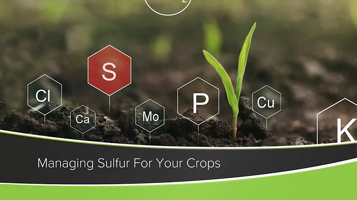 Managing Sulfur For Your Crops (From Ag PhD Show #1184 - Air Date 12-13-20)