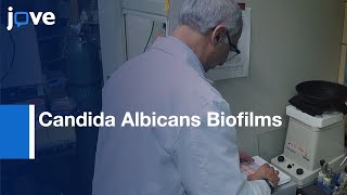 Clarifying and Imaging Biofilms of Candida Albicans | Protocol Preview