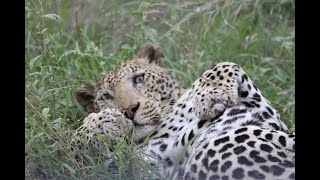 Kruger National Park, Marloth Park South Africa,  Oct/Nov 2023