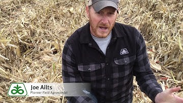 Measuring Combine Corn Loss