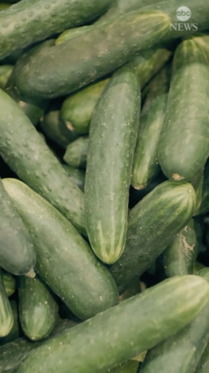 Salmonella outbreak linked to cucumbers