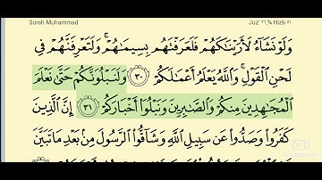 سورة محمد _ المصحف المعلم _ الآيات من 30 - 34