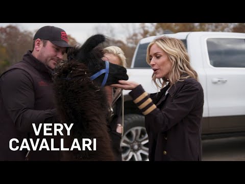 Kristin Cavallari Surprises Hubby Jay With a Llama | Very Cavallari | E!