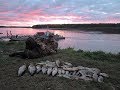 Рыбалка на Иртыше в начале сентября 2017, день 1
