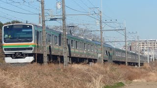 E231系1000番台基本編成10両+E233系3000番台付属5両が宇都宮線の蓮田〜東大宮間にあるヒガハスを通過するシーン2023年12月26日12時03分