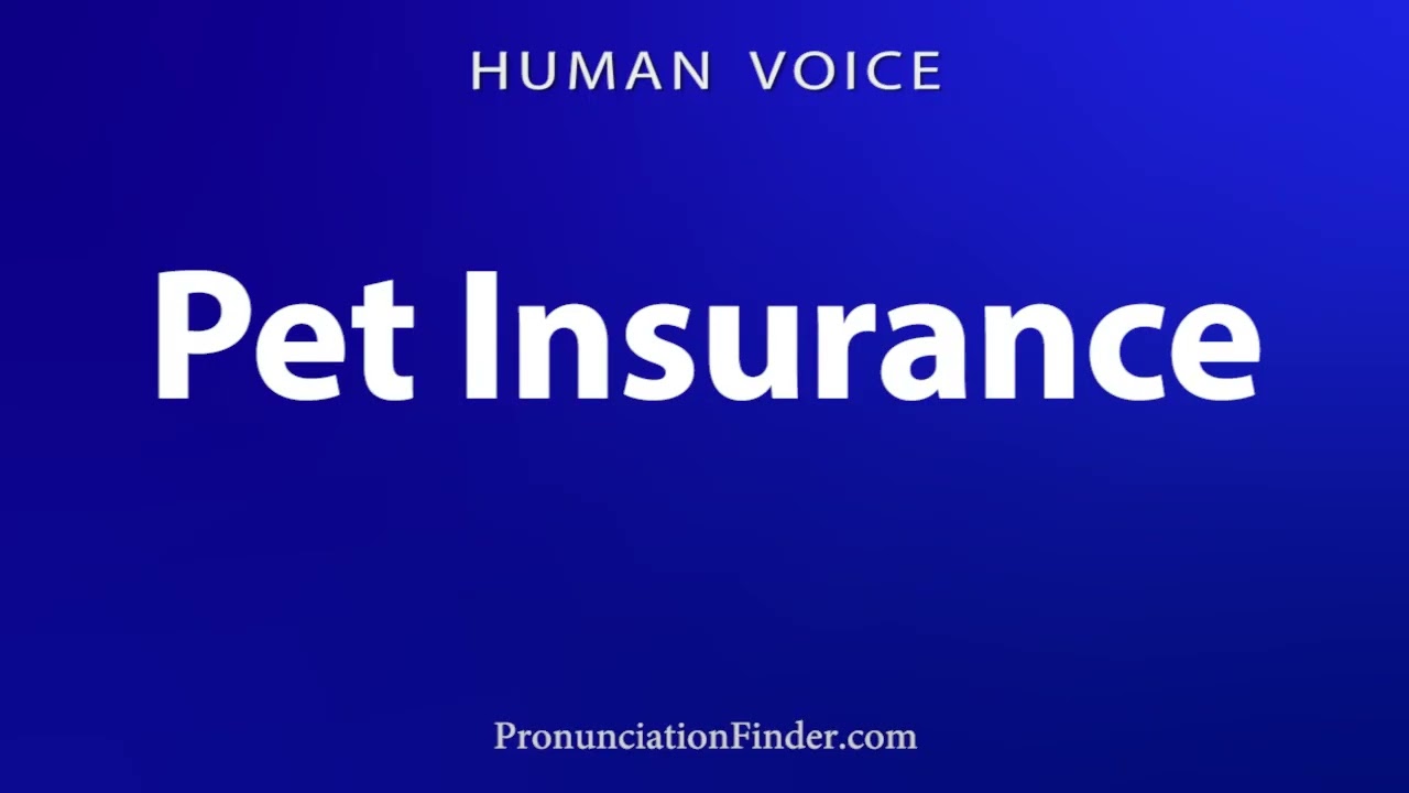 Как произносится «страхование домашних животных»