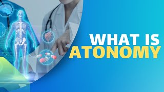 What is Atonomy Gross anatomy