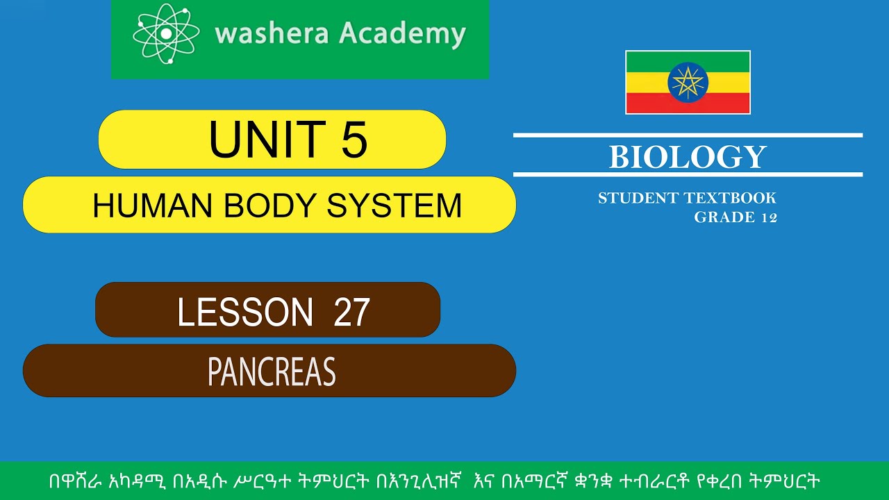 BIOLOGY GRADE 12 UNIT 5 LESSON 27 PANCREAS - YouTube