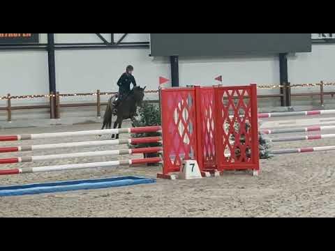 Soquette vd Breemeersen 4yo @ 1.05m schooling class Ternat 2022 (Comthago x Connor x Calido)