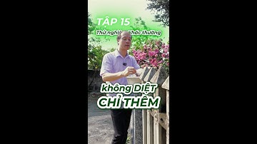 TẬP 15: CỎ LÀ BẠN KHÔNG PHẢI "DIỆT"