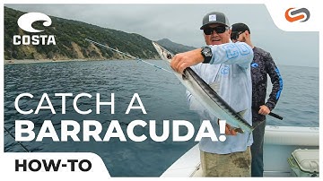 How to Catch Barracuda at Catalina Island