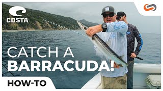 Bob hoose is the california community leader for professional costa
anglers and he here to tell us about best techniques catching
barracuda on...