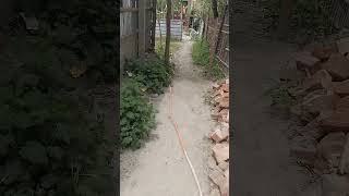 मम ज क समरक टट