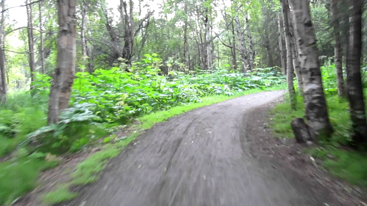 Electric Bicycle Trail Ride YouTube