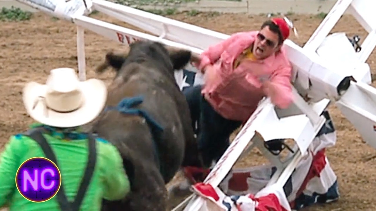 ⁣Bulls vs. Idiots on a Seesaw | Jackass Number Two