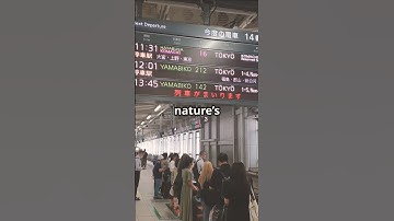 Why Do Japanese Train Stations Play Bird Sounds?