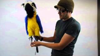 Professional Custom Parrot Puppet