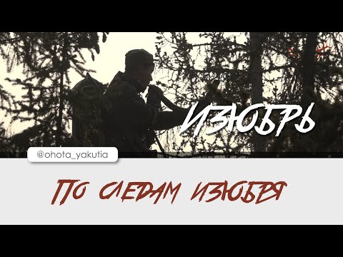 По следам изюбря. Якутский трофей!