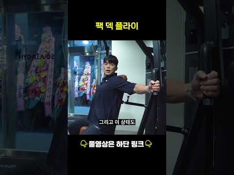 이거 안 하고 가슴 했다고 말 못 함 #<strong>펙덱플라이</strong> #운동 #shorts