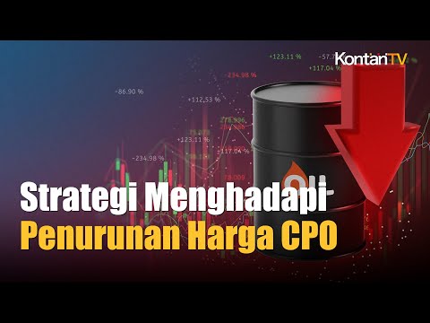 Strategi Perusahaan Kelapa Sawit di Tengah Tekanan Penurunan Harga CPO | Kontan News