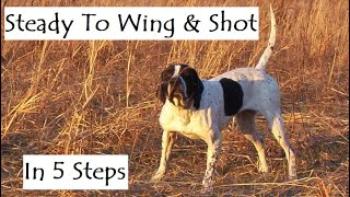 Steady To Wing And Shot (Hunting Dog Training, Pointing Dog Training, Bird Dog Training)