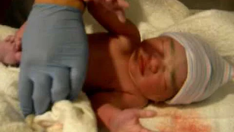 heidi elizabeth denison