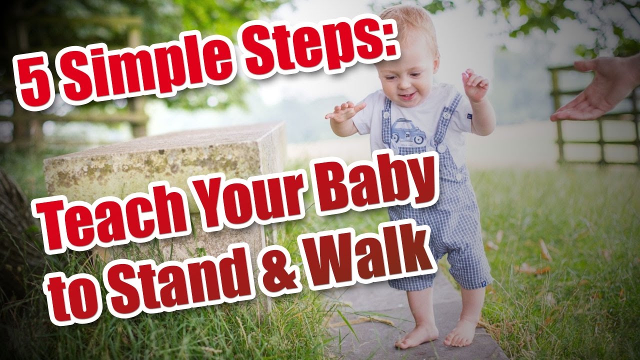 teach baby to stand