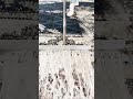 Insane Scraping Before and After
