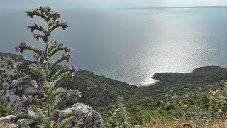 Lubenice - Cres -  one of the best beach on Adriatic sea, Croatia
