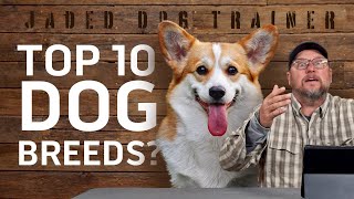 Top 10 Dog Breeds (Google's Ranking) - The Jaded Dog Trainer by Ray Allen Manufacturing 743 views 8 months ago 4 minutes, 47 seconds