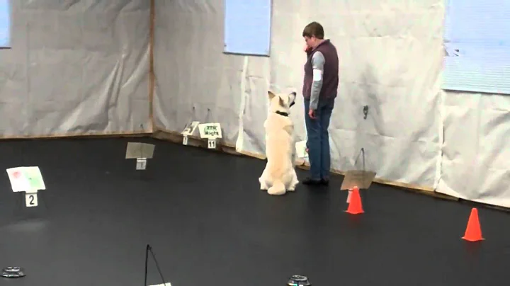Lynn with Pagan UKC RO3 Second Place 4 16 11