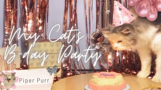 My Cat's 1st Bday // Piper Purr's Celebration (Cat Birthday)