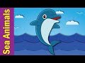 Underwater Creatures Quiz