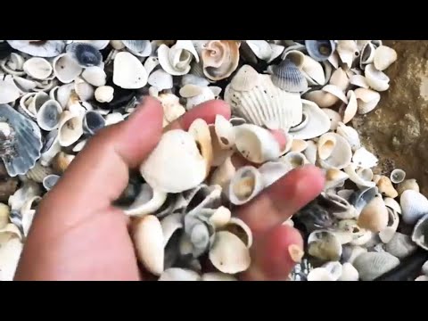 Playa de Chaparrales Veracruz México