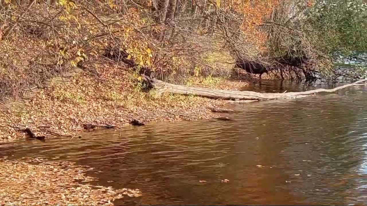 10-23-2022 From Sturgeon Falls Power Dam in Norway Michigan to Faithorn Michigan Boat Landing