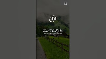 لكم دينكم ولي دين / سورة الكافرون / القارئ محمد اللحيدان /