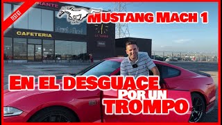 Mustang MACH 1 | En el DESGUACE por un TROMPO