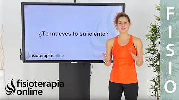 ¿Cuándo se considera que una persona es deportista?