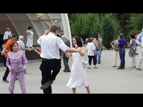 Три волшебных слова