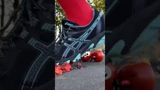 Life Doodles Tomato Crushed