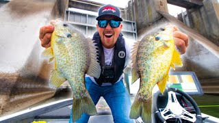 Fishing BIG DAM and Catching GIANT Bluegill! (AMAZING) 