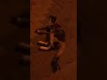 أغنية القطة ميمي